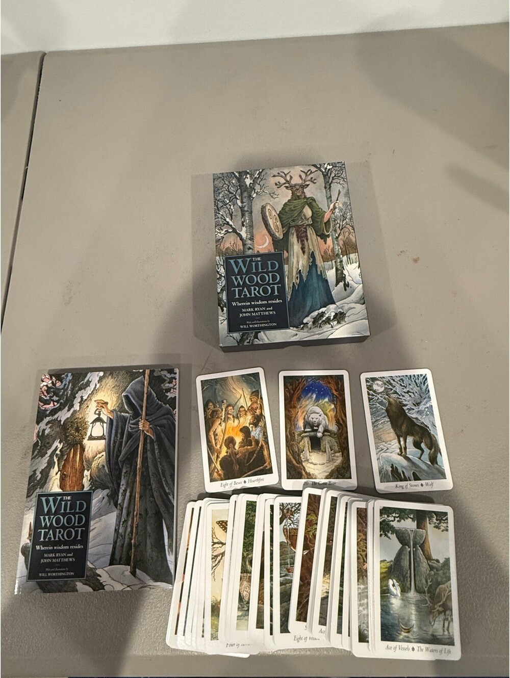 The Wild Wood Tarot Deck and Guidebook Set